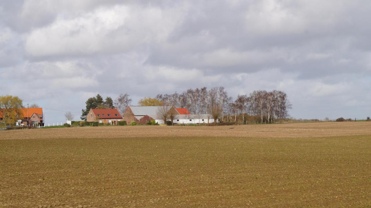 Sur La Route Des Monts Lejlighed Bailleul  Eksteriør billede